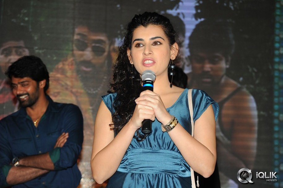 Billa-Ranga-Movie-Audio-Launch